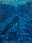 Solitude